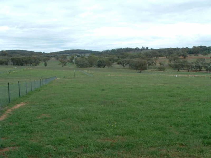 165 Starlea Road, MOLONG, NSW, Molong - Thumbnail 2