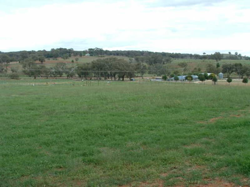 165 Starlea Road, MOLONG, NSW, Molong - Thumbnail 3