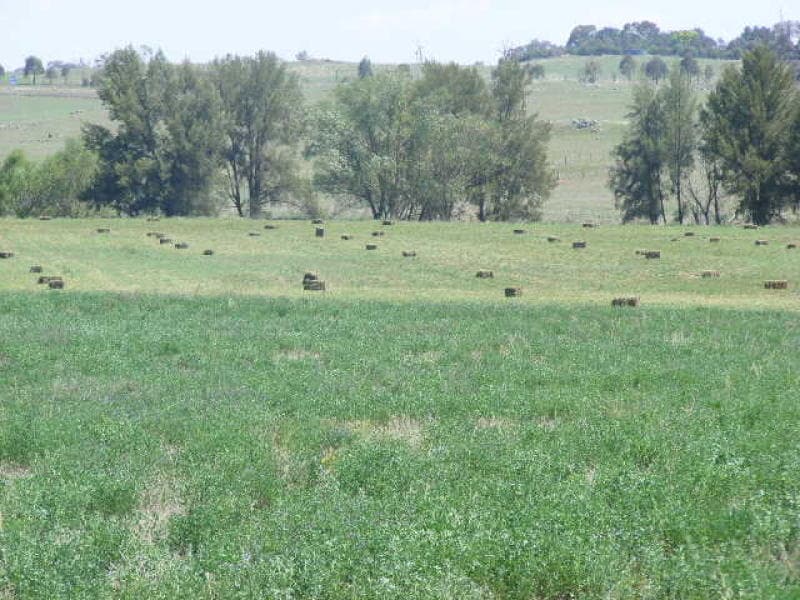 19 Deight Street, MOLONG, NSW, Molong - Image 1