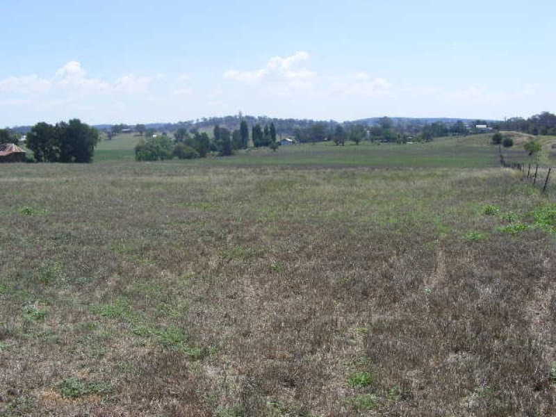 19 Deight Street, MOLONG, NSW, Molong - Thumbnail 3