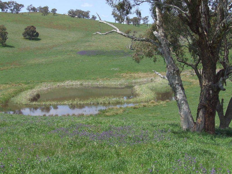 Lot 4 Reyfield Drive, ORANGE, NSW, Orange - Thumbnail 3