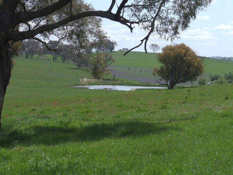 Lot 4 Reyfield Drive, ORANGE, NSW, Orange - Thumbnail 7