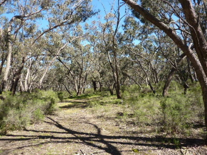 Lot 175 Kangaroobie Road, Orange, NSW, Orange - Thumbnail 2