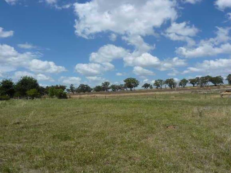 Lot 8,  22 Boree Street, CUDAL, NSW, Cudal - Image 1