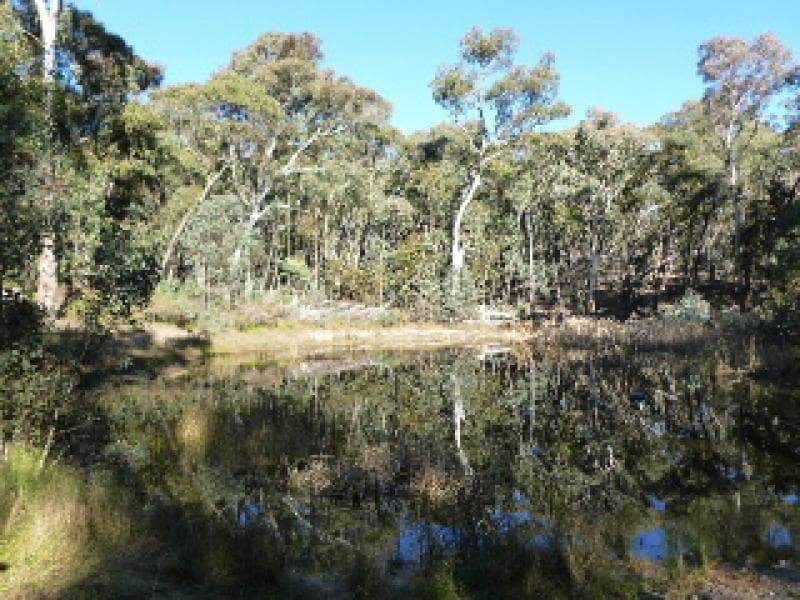 32 Broken Shaft Close, ORANGE, NSW, Orange - Thumbnail 8
