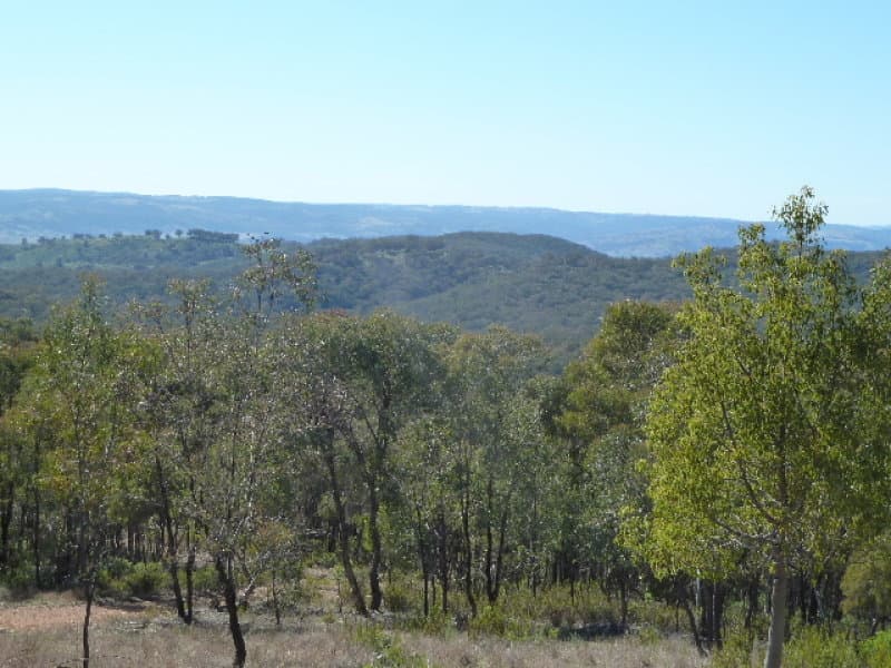 1115 Euchareena, ORANGE, NSW, Orange - Thumbnail 6