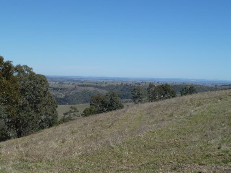 1115 Euchareena, ORANGE, NSW, Orange - Thumbnail 7