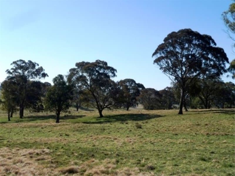 Lot 3 Reyfield Drive, ORANGE, NSW, Orange - Thumbnail 2