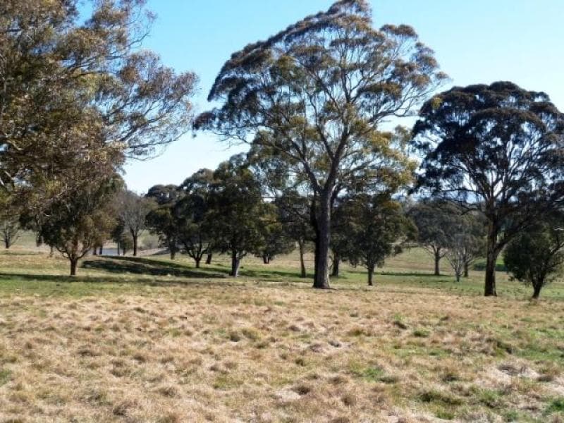 Lot 3 Reyfield Drive, ORANGE, NSW, Orange - Thumbnail 7