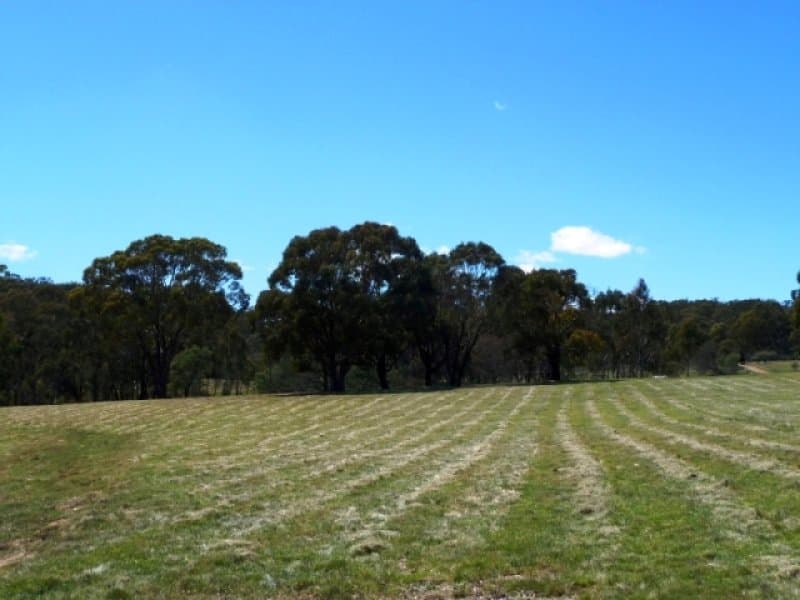 101 Strathnook Lane, ORANGE, NSW, Orange - Thumbnail 6