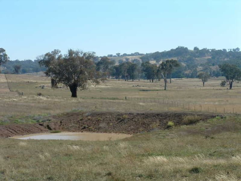 202 Jennings Lane, MOLONG, NSW, Molong - Image 1