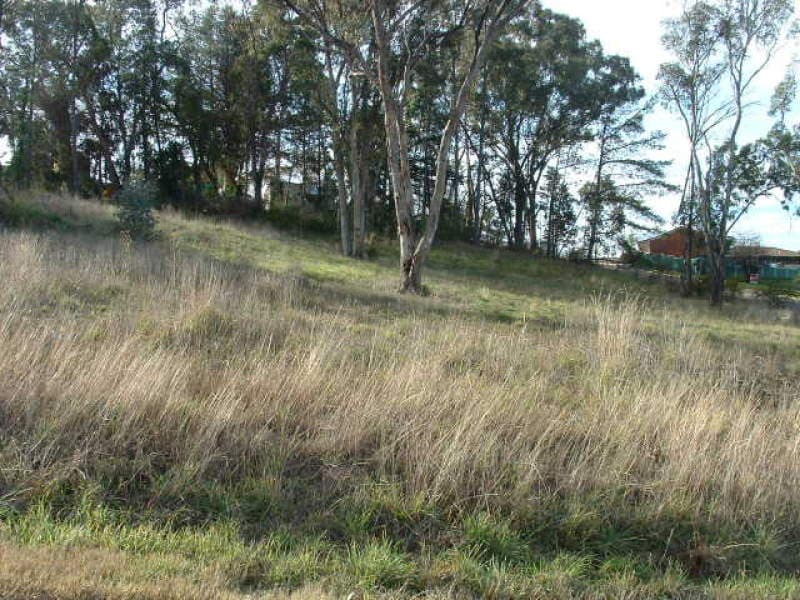 Lot 12 South Street, MOLONG, NSW, Molong - Image 1
