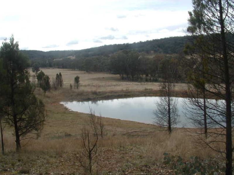 Lot 101 Sandy Creek Road, MOLONG, NSW, Molong - Image 1