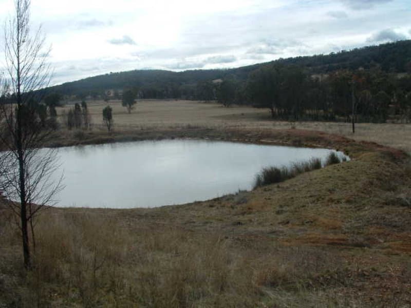Lot 101 Sandy Creek Road, MOLONG, NSW, Molong - Thumbnail 2