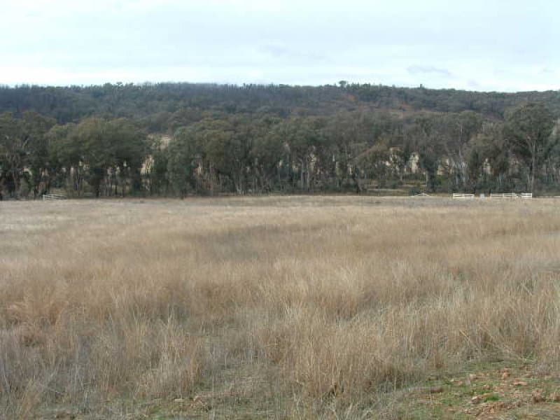 Lot 101 Sandy Creek Road, MOLONG, NSW, Molong - Thumbnail 3