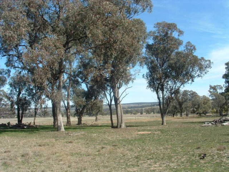 Lot 2 Garra Road, MOLONG, NSW, Molong - Thumbnail 3