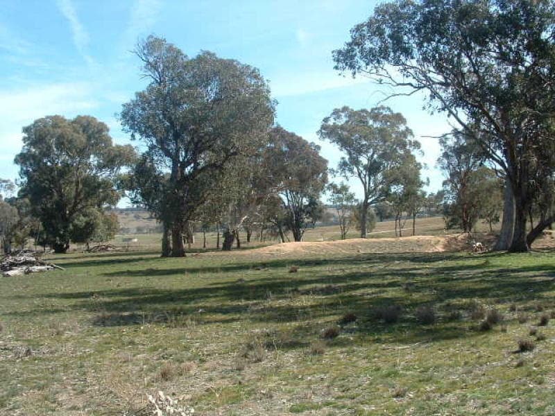 Lot 2 Garra Road, MOLONG, NSW, Molong - Thumbnail 4
