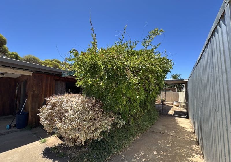 13 Clianthus Road, Kambalda West, WA 6442, Kambalda West - Thumbnail 3