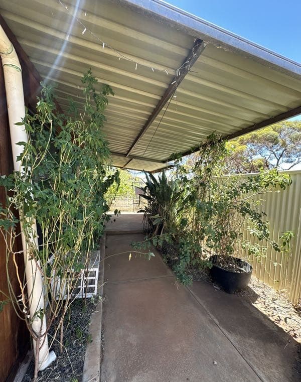 13 Clianthus Road, Kambalda West, WA 6442, Kambalda West - Thumbnail 2