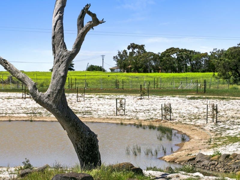 91 Edenhope Circuit, Armstrong Creek - Thumbnail 5