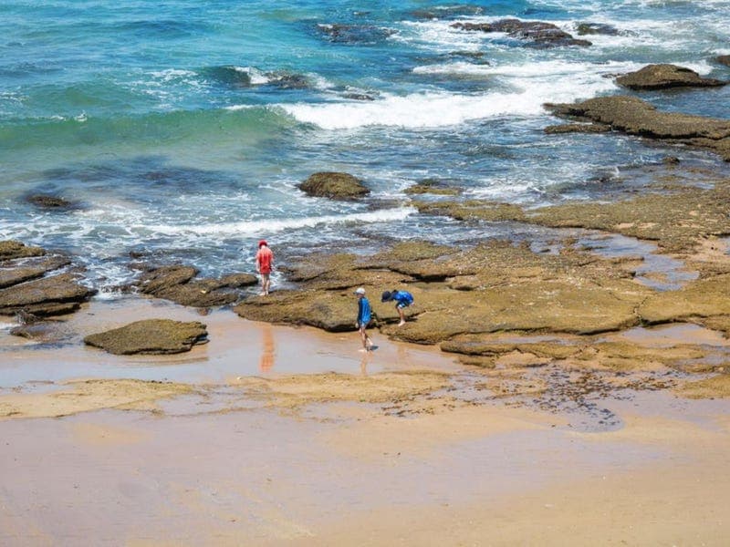 Stingray Street,ARMSTRONG CREEK, Armstrong Creek - Thumbnail 2