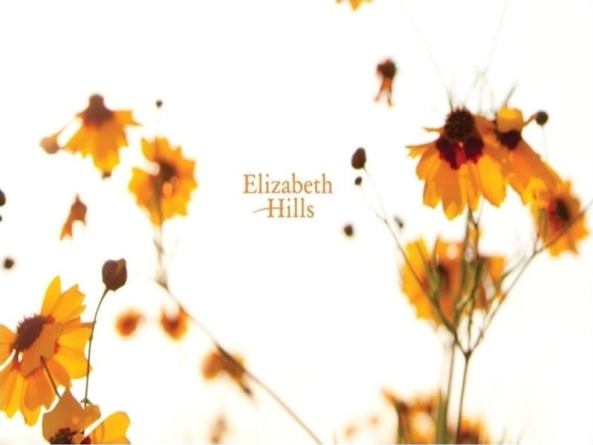 16 Rosebank Avenue, Elizabeth Hills, NSW, 2171, Elizabeth Hills - Thumbnail 3