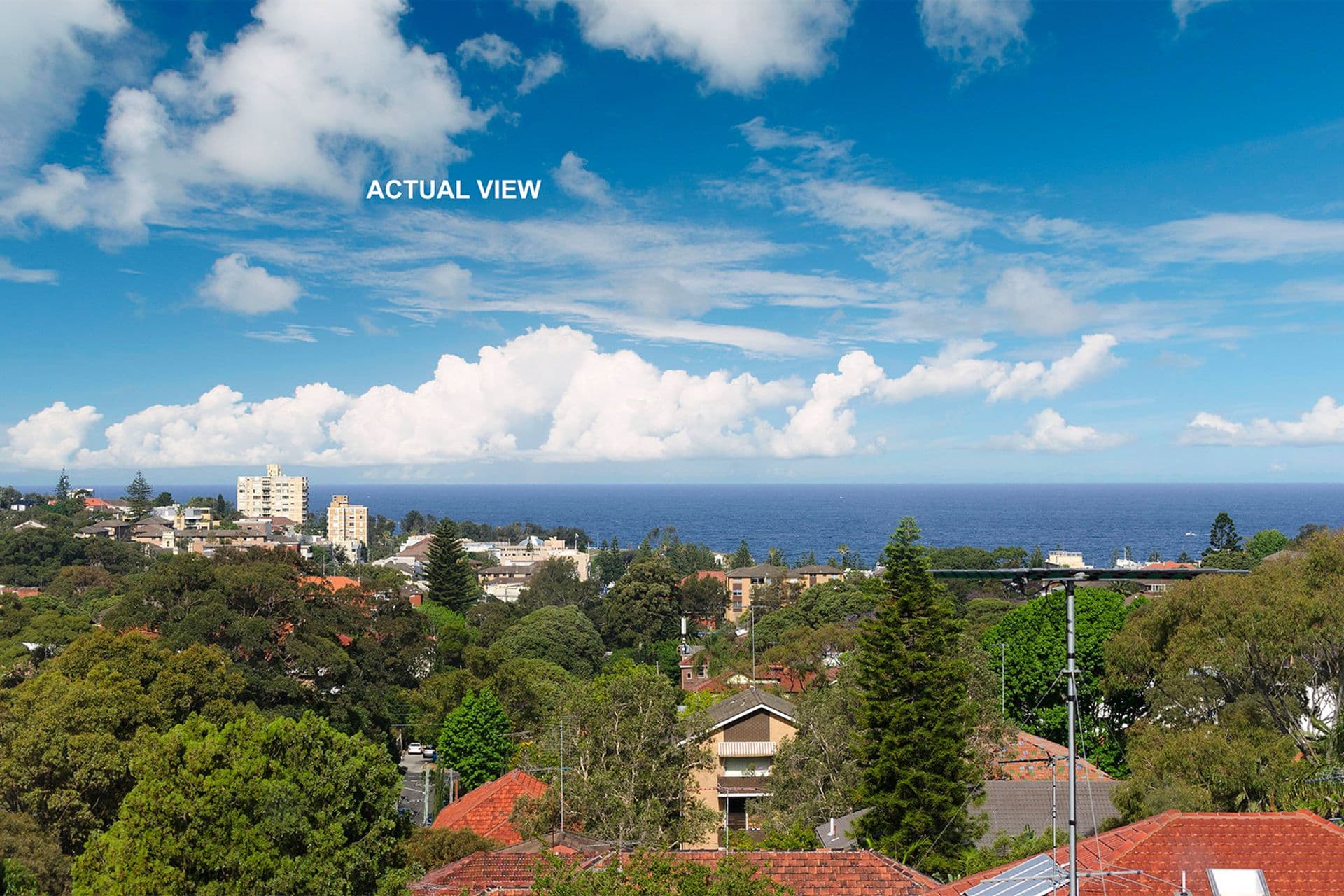 128 Belmore Road, Randwick, NSW, 2031, Randwick - Image 1