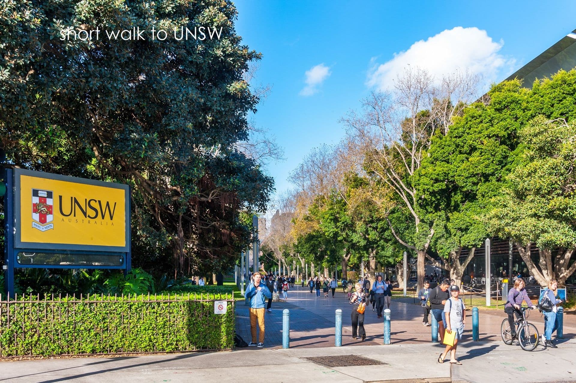 203/1-7 Waratah Avenue, Randwick, NSW, 2031, Randwick - Thumbnail 7