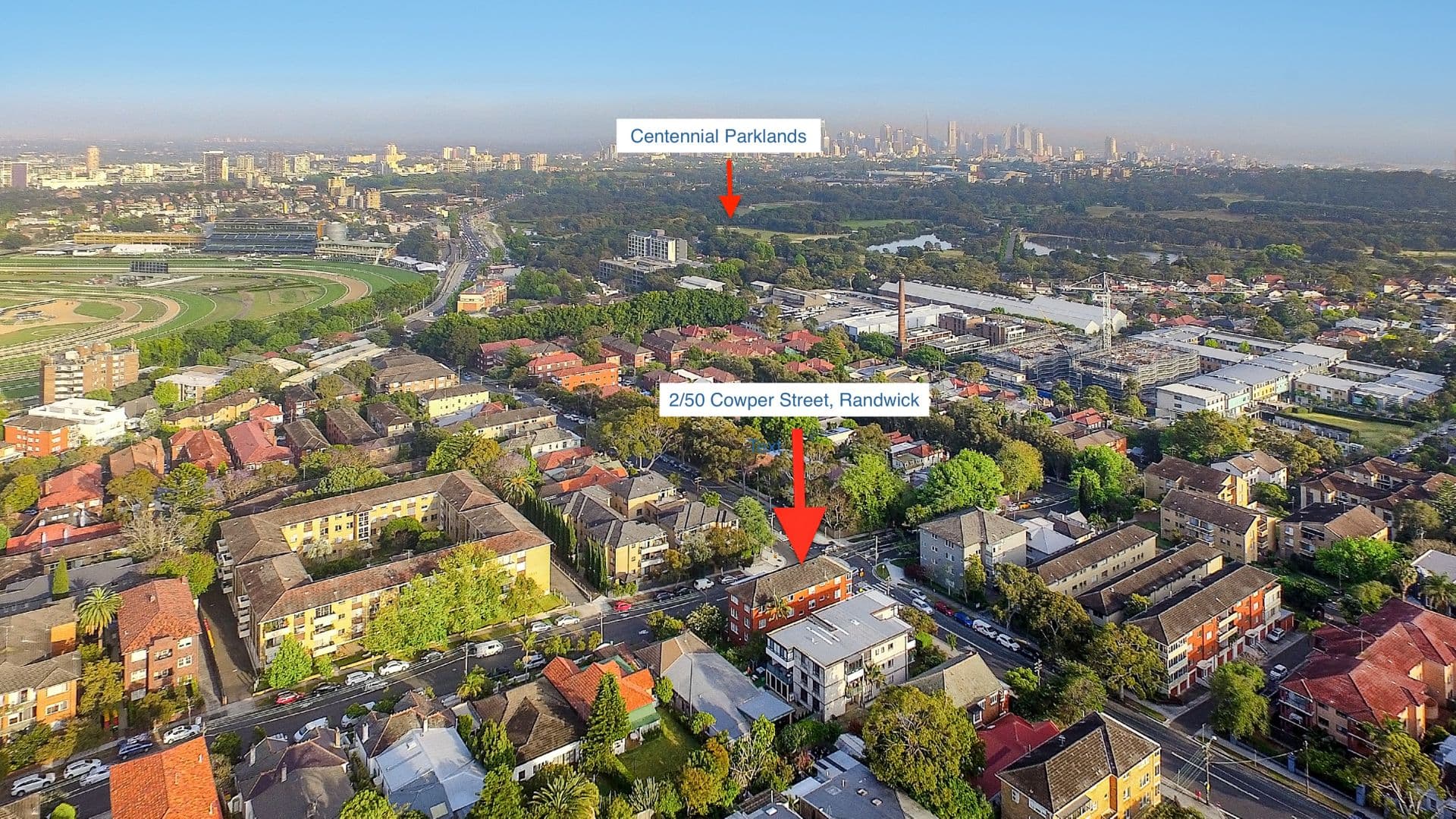 128 Belmore Road, Randwick, NSW, 2031, Randwick - Thumbnail 7