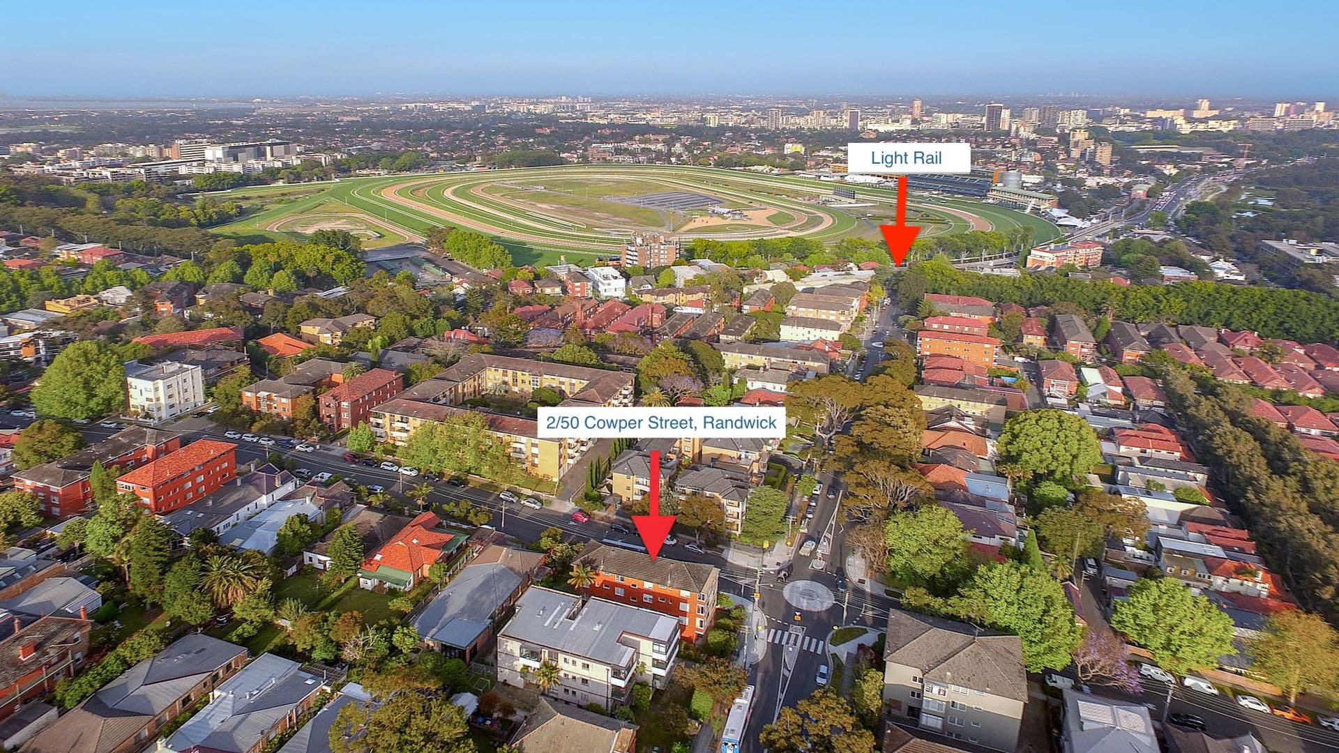 128 Belmore Road, Randwick, NSW, 2031, Randwick - Thumbnail 6