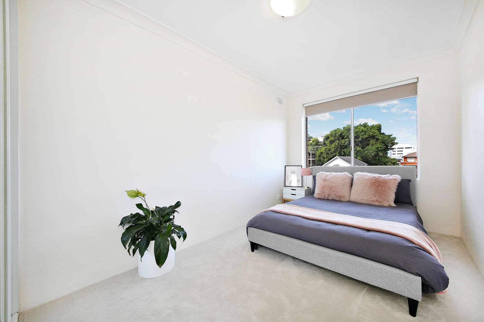 128 Belmore Road, Randwick, NSW, 2031, Randwick - Thumbnail 5
