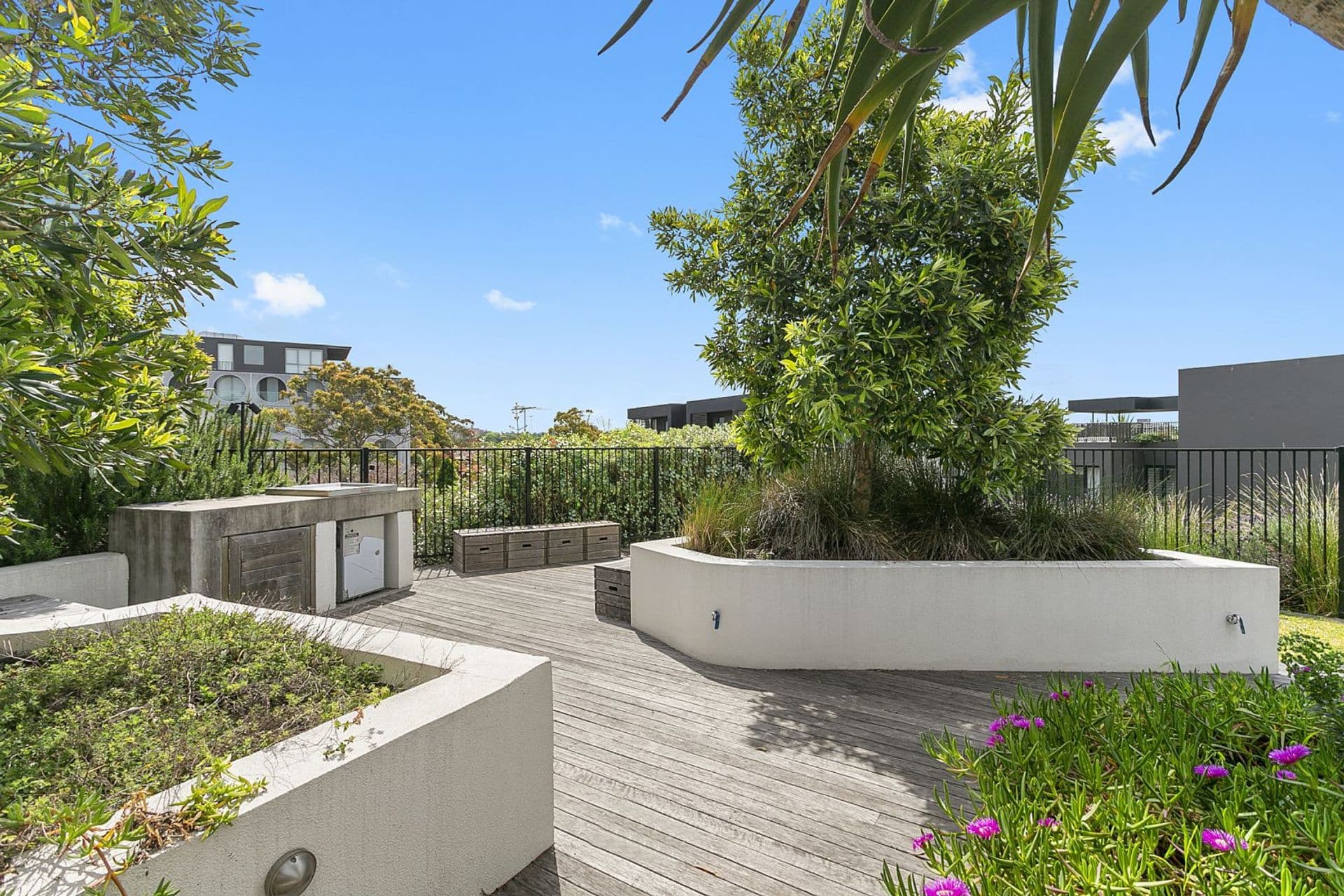 203/9-15 Ascot Street, Kensington, NSW, 2033, Kensington - Thumbnail 7