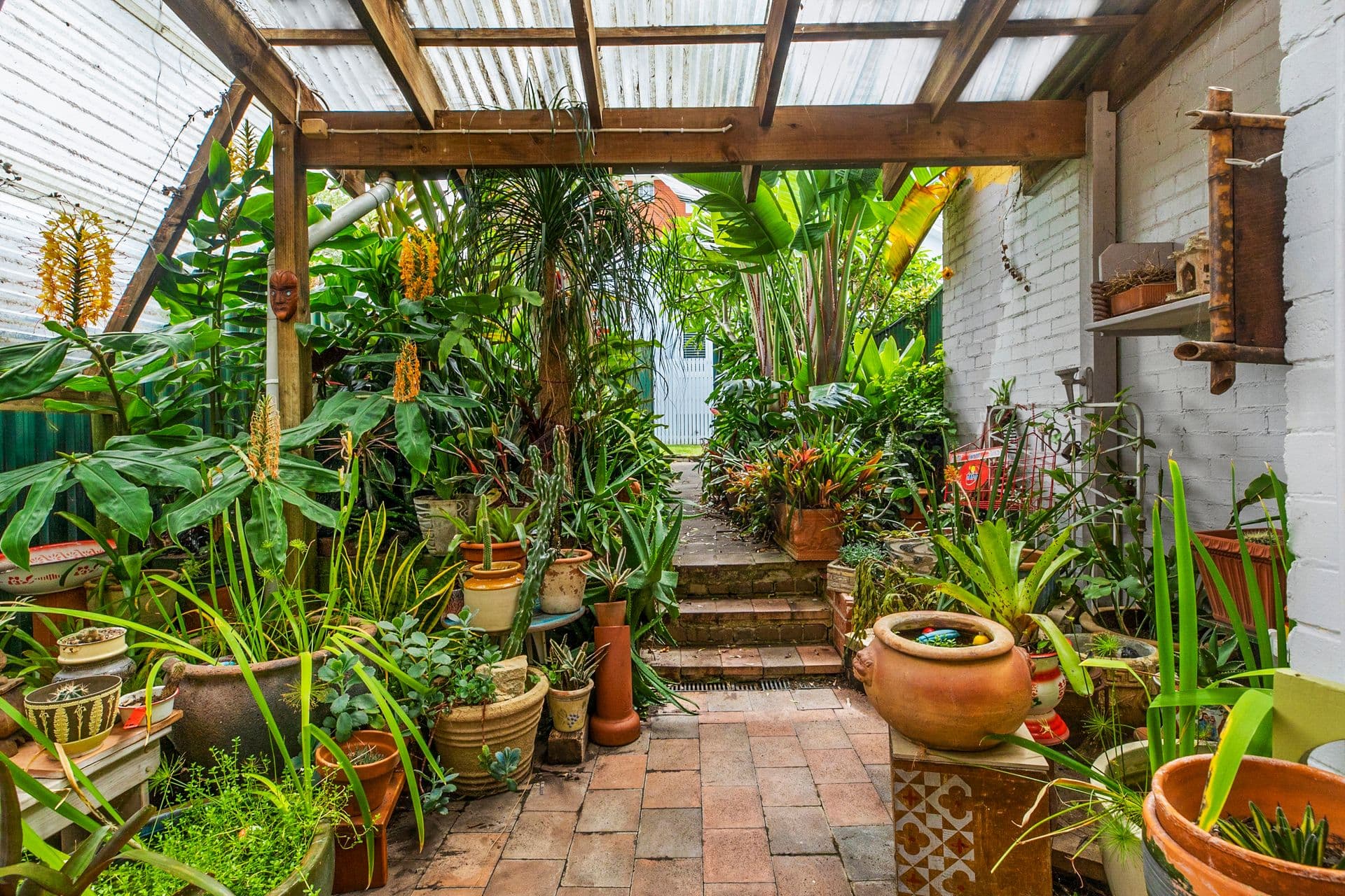 163 Clovelly Road, Randwick, NSW, 2031, Randwick - Thumbnail 4