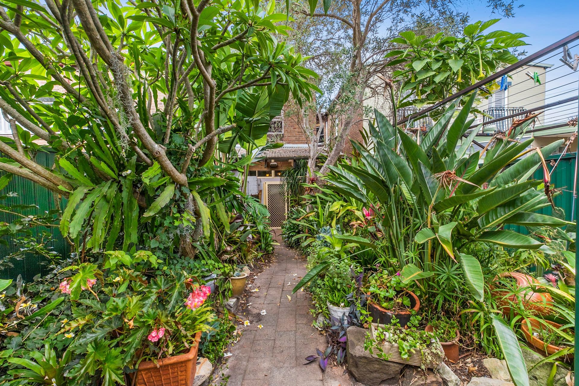 163 Clovelly Road, Randwick, NSW, 2031, Randwick - Thumbnail 5