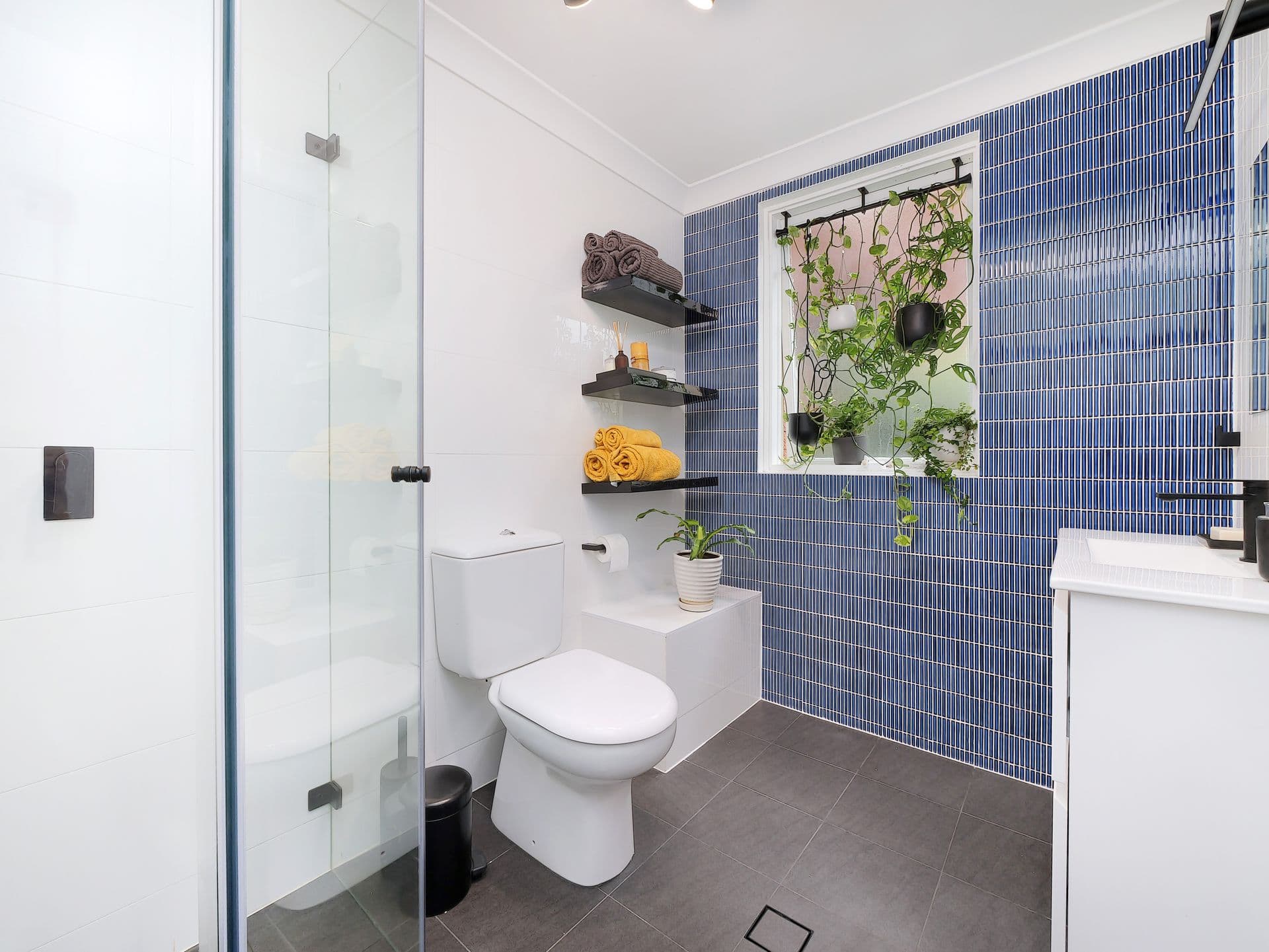 2/4 Albi Place, Randwick, NSW, 2031, Randwick - Thumbnail 5