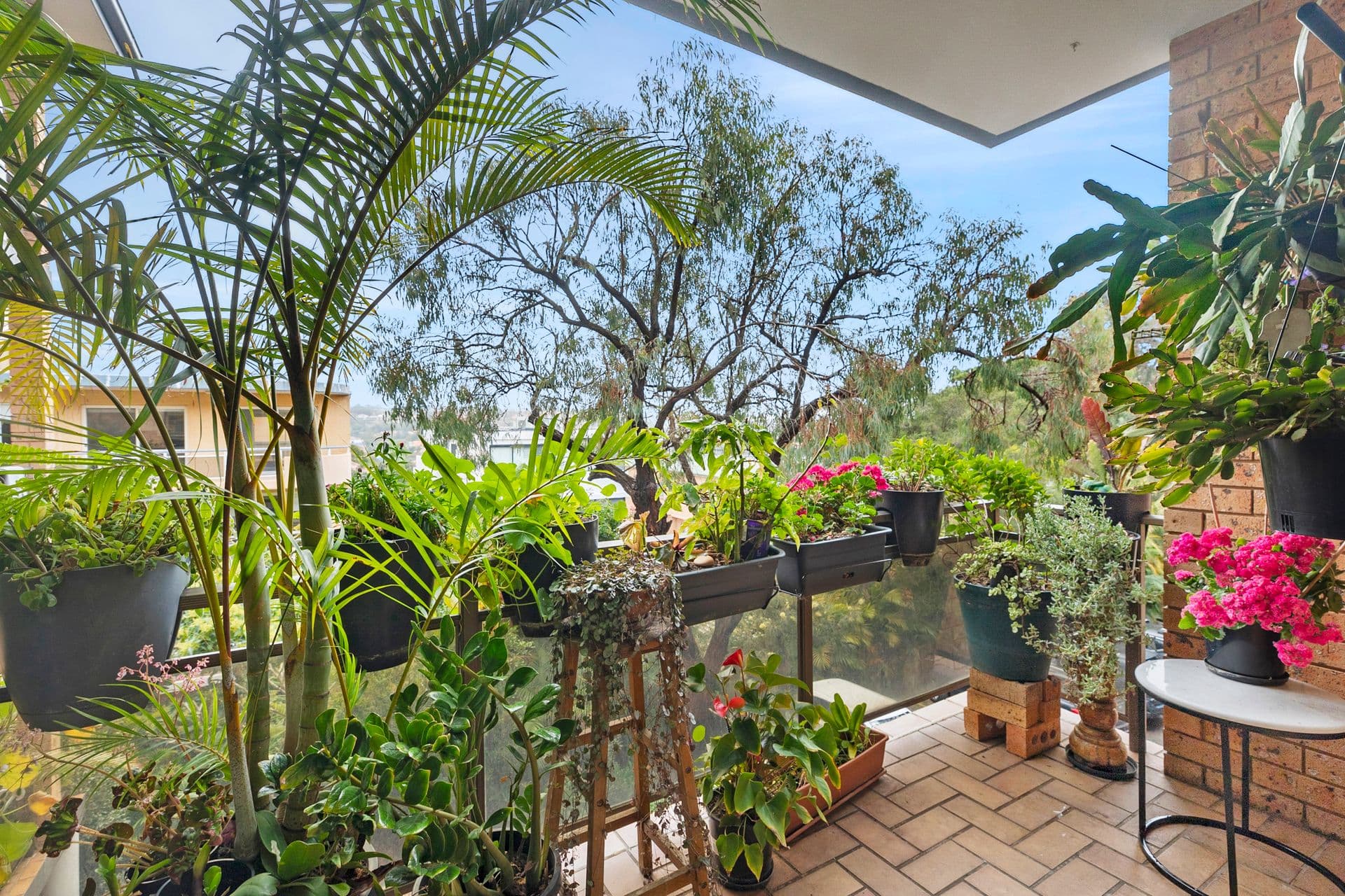 10/80-82 Melody Street, Coogee, NSW, 2034, Coogee - Thumbnail 3