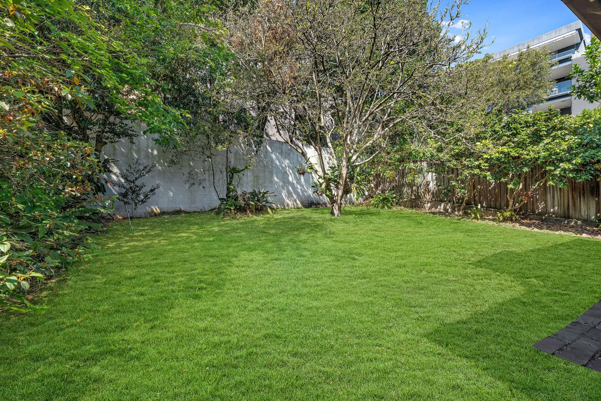 88 Alison Road, Randwick, NSW, 2031, Randwick - Thumbnail 8