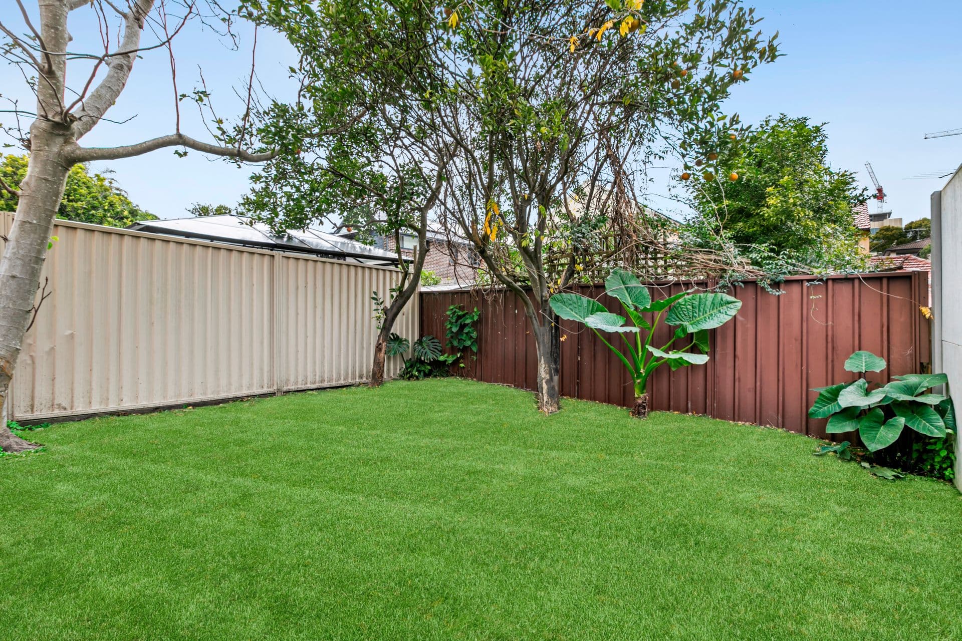 12 Waratah Avenue, Randwick, NSW, 2031, Randwick - Thumbnail 5