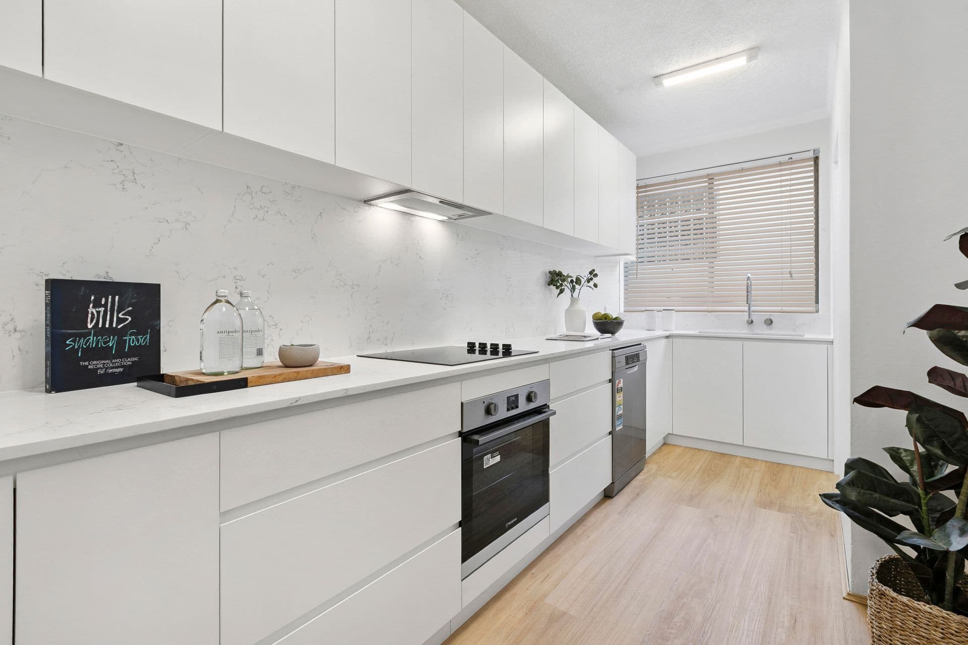 5/20 Arcadia Street, Coogee, NSW, 2034, Coogee - Thumbnail 2