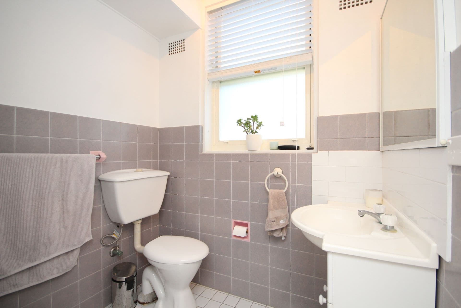 3/54a Mount Street, Coogee, NSW, 2034, Coogee - Thumbnail 4