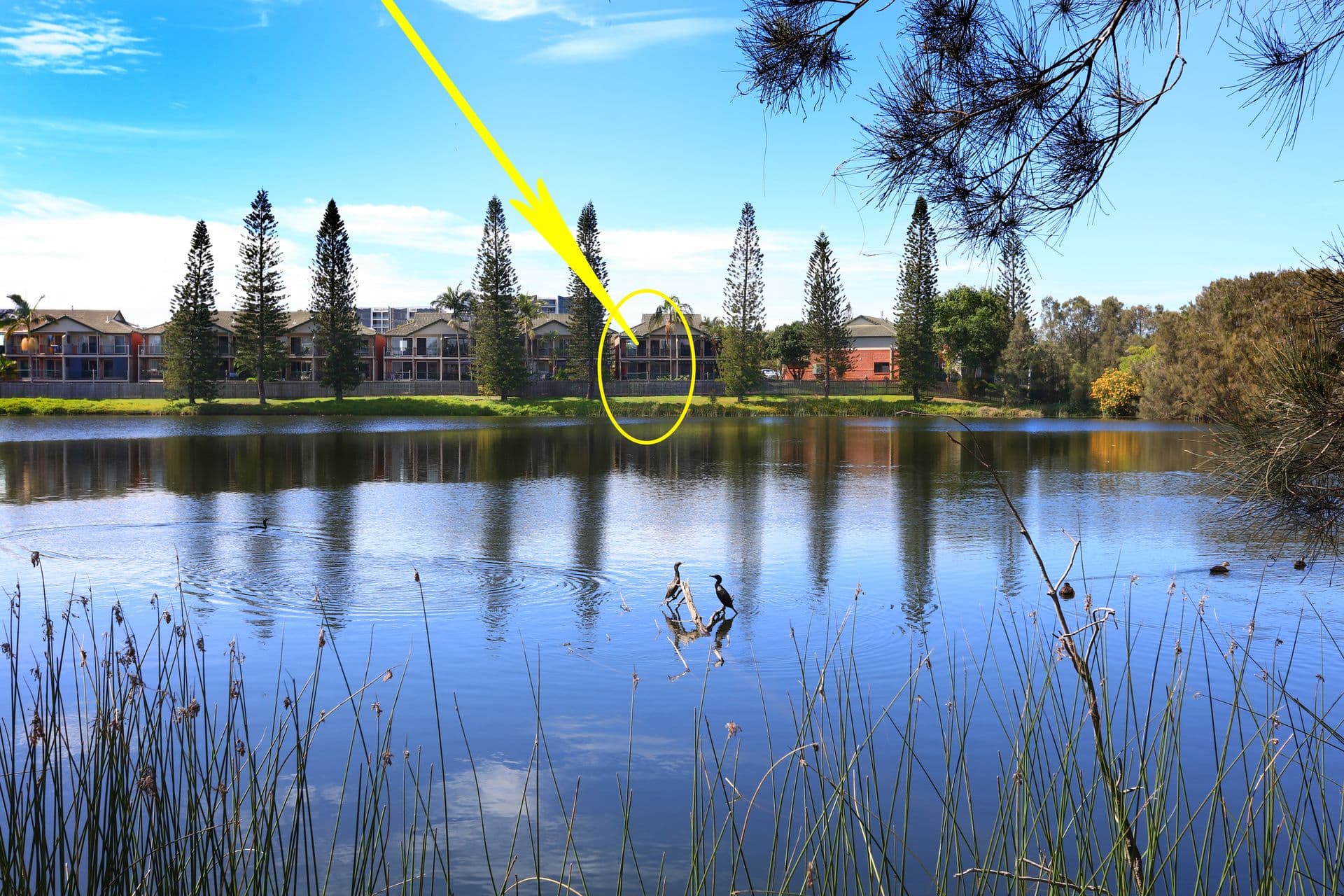 53/7-9 Santa Cruz Boulevard, Clear Island Waters, QLD, 4226, Clear Island Waters - Thumbnail 3
