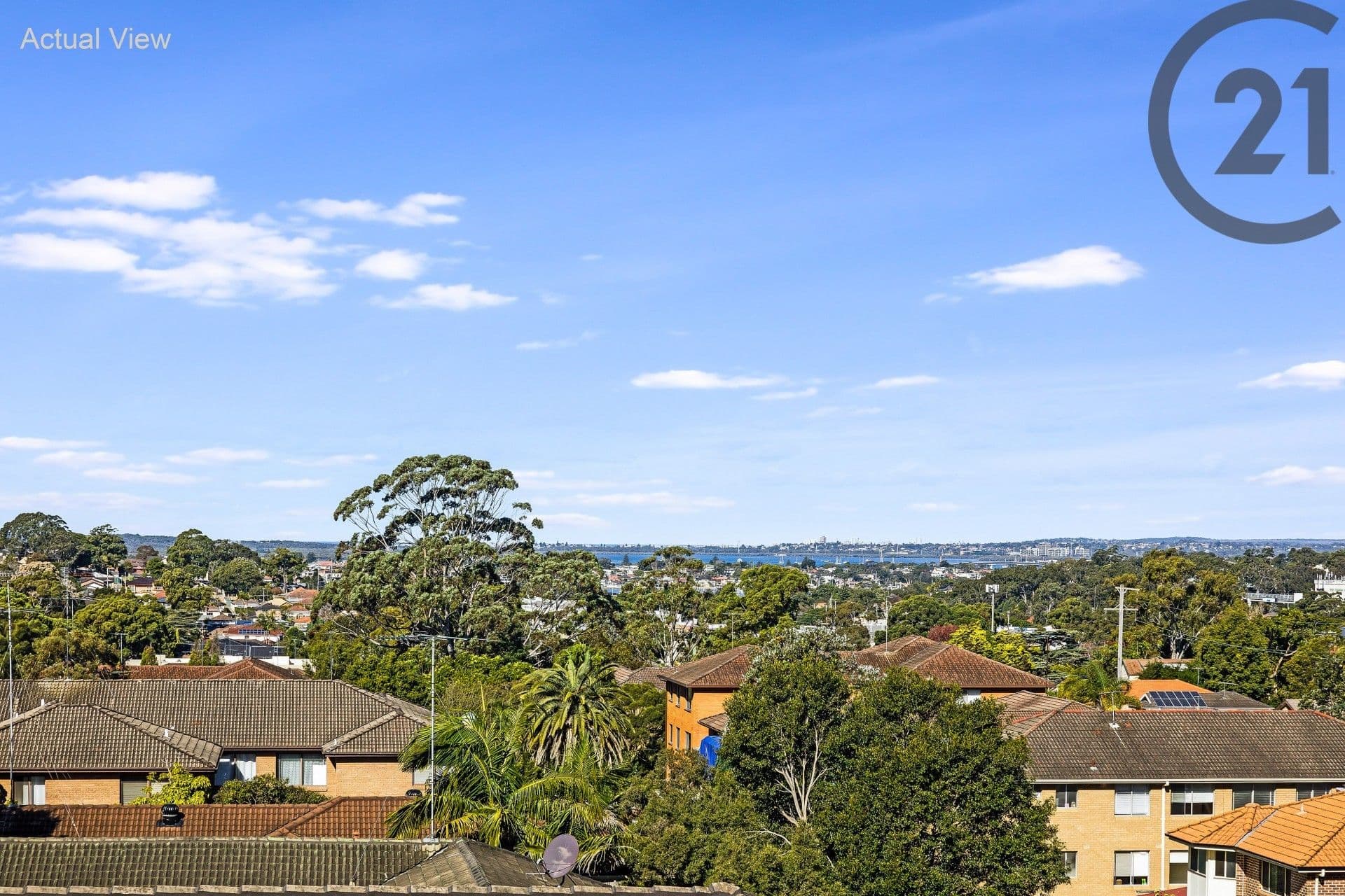 11/19-21 Noble Street, Allawah, NSW, 2218, Allawah - Thumbnail 3
