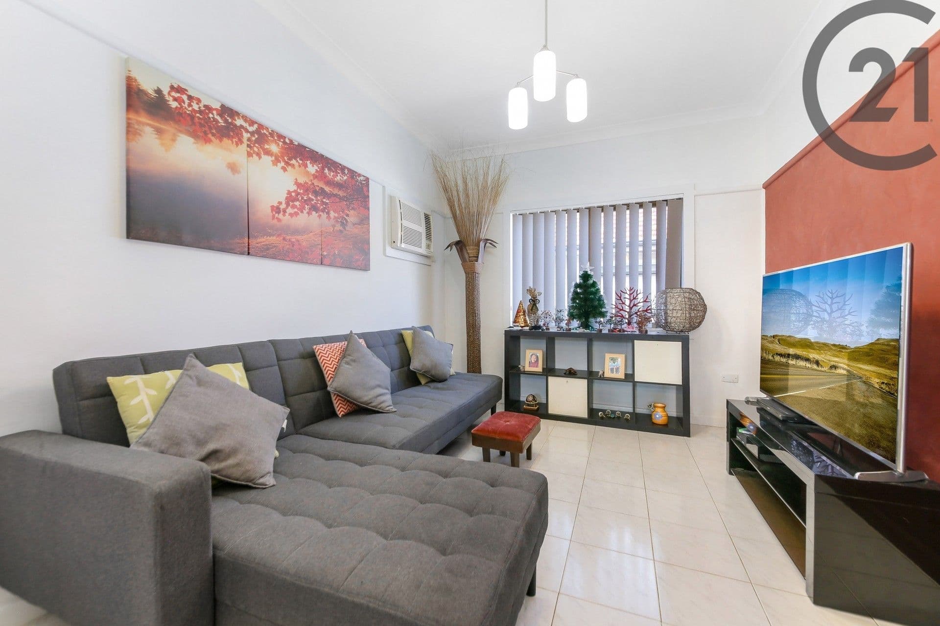146 Virgil Ave, Chester Hill, NSW, 2162, Chester Hill - Thumbnail 3