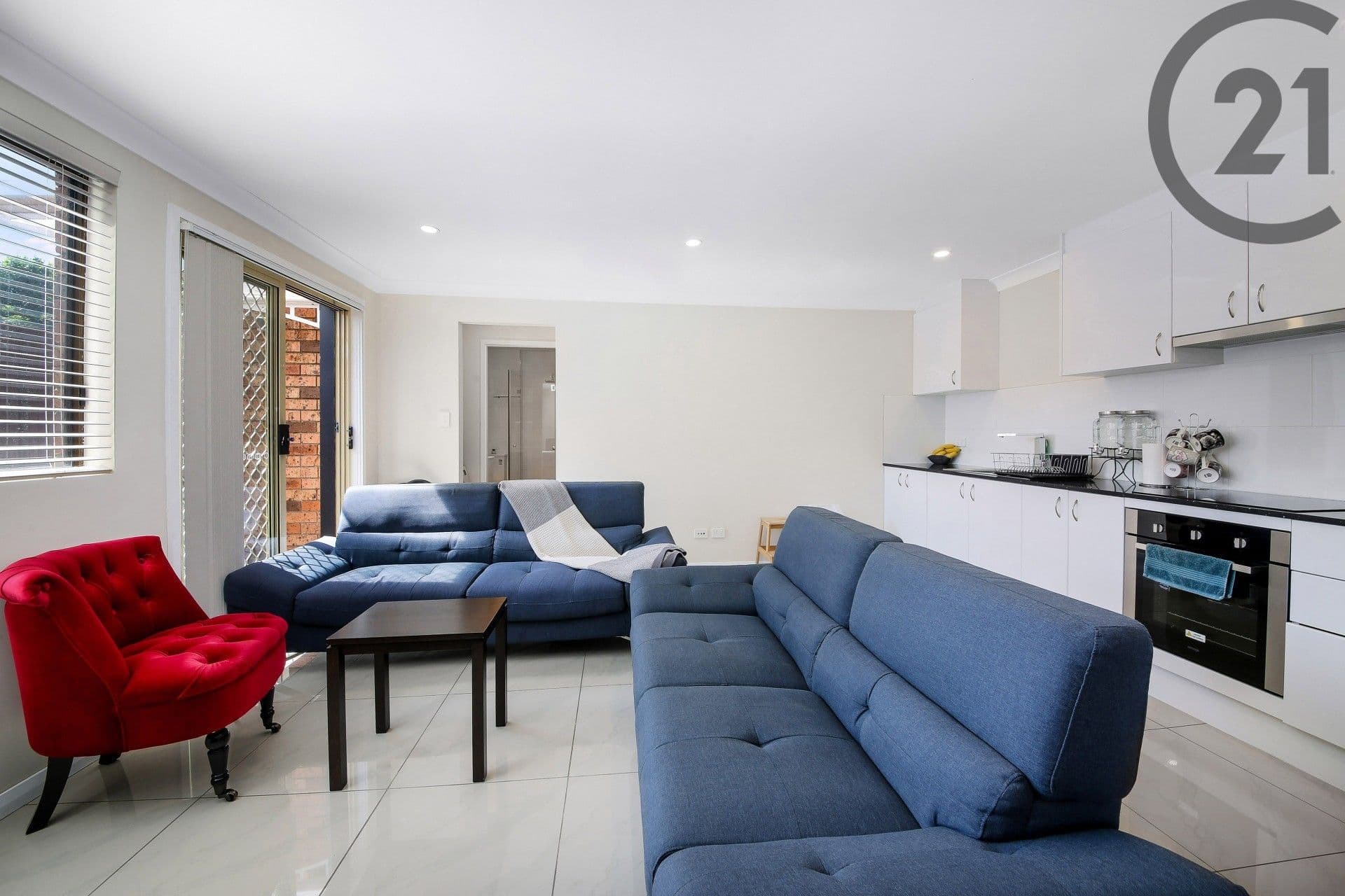 146 Virgil Ave, Chester Hill, NSW, 2162, Chester Hill - Thumbnail 4