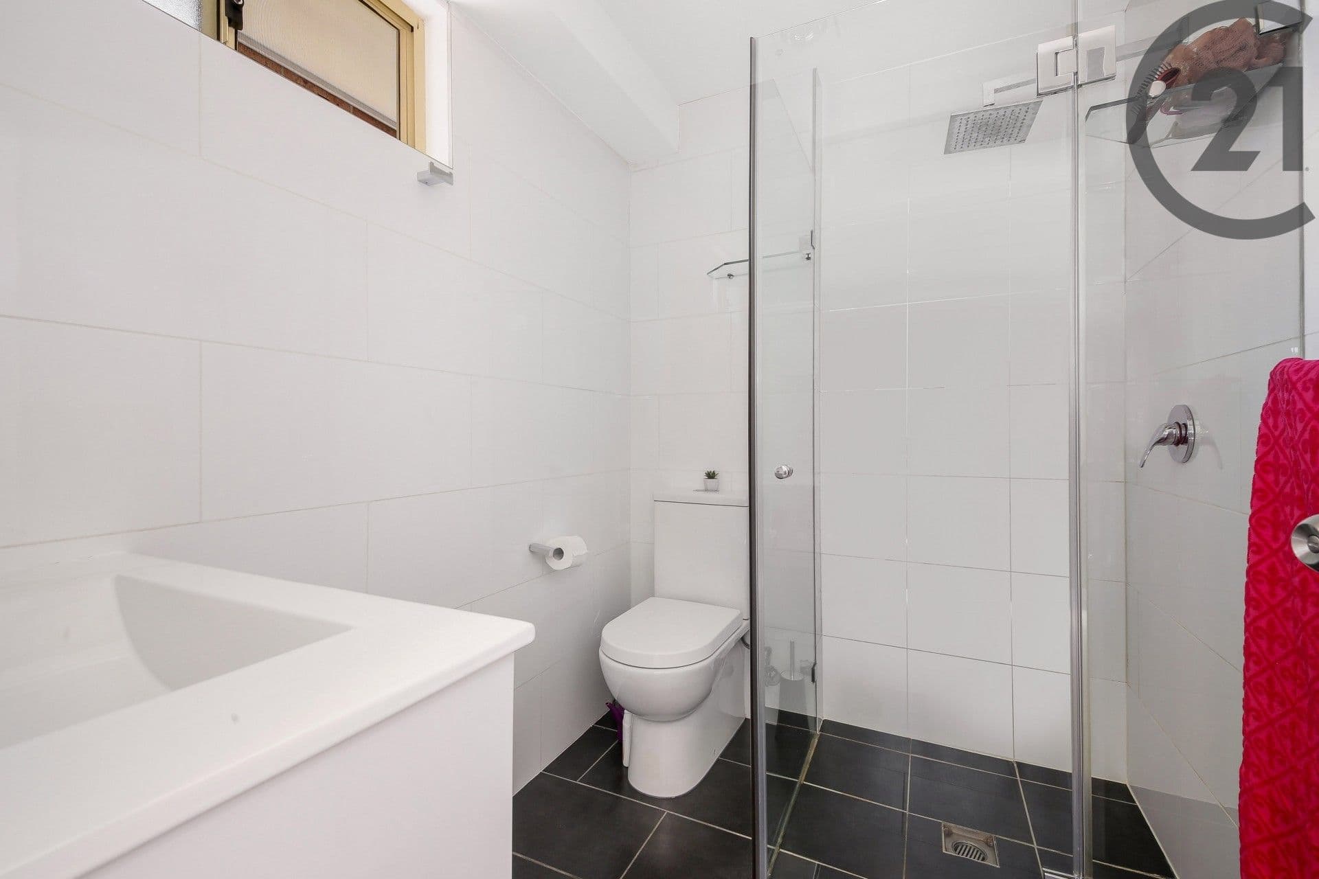 146 Virgil Ave, Chester Hill, NSW, 2162, Chester Hill - Thumbnail 5