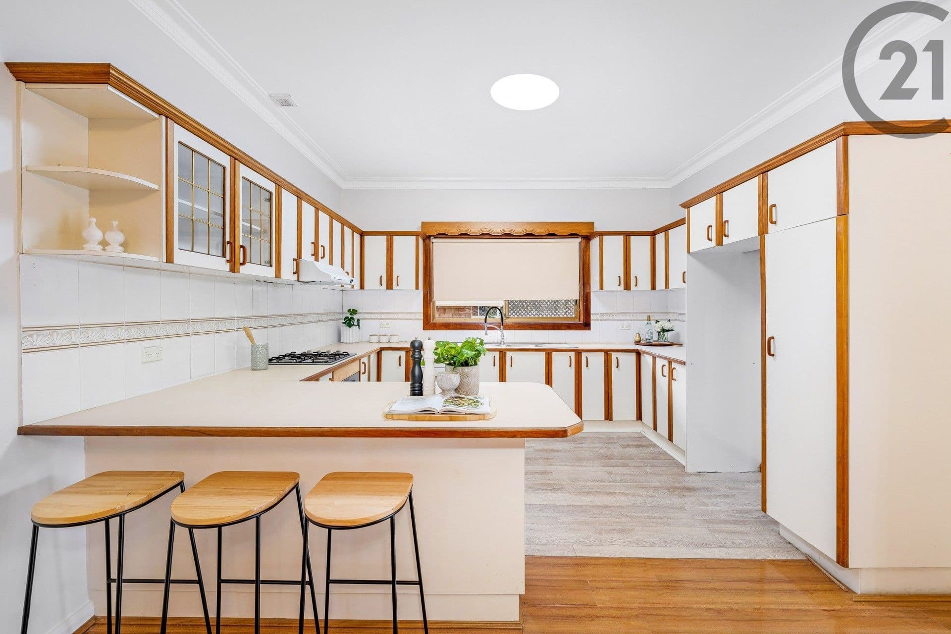 10 Dudley Street, Hurstville, NSW, 2220, Hurstville - Thumbnail 4