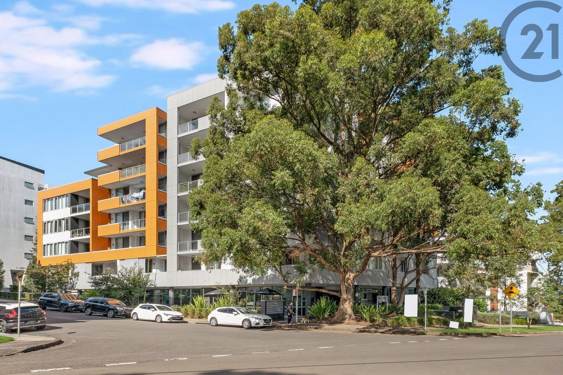 Shop 5, 182 Forest Road, Hurstville, NSW, 2220, Gordon - Thumbnail 5