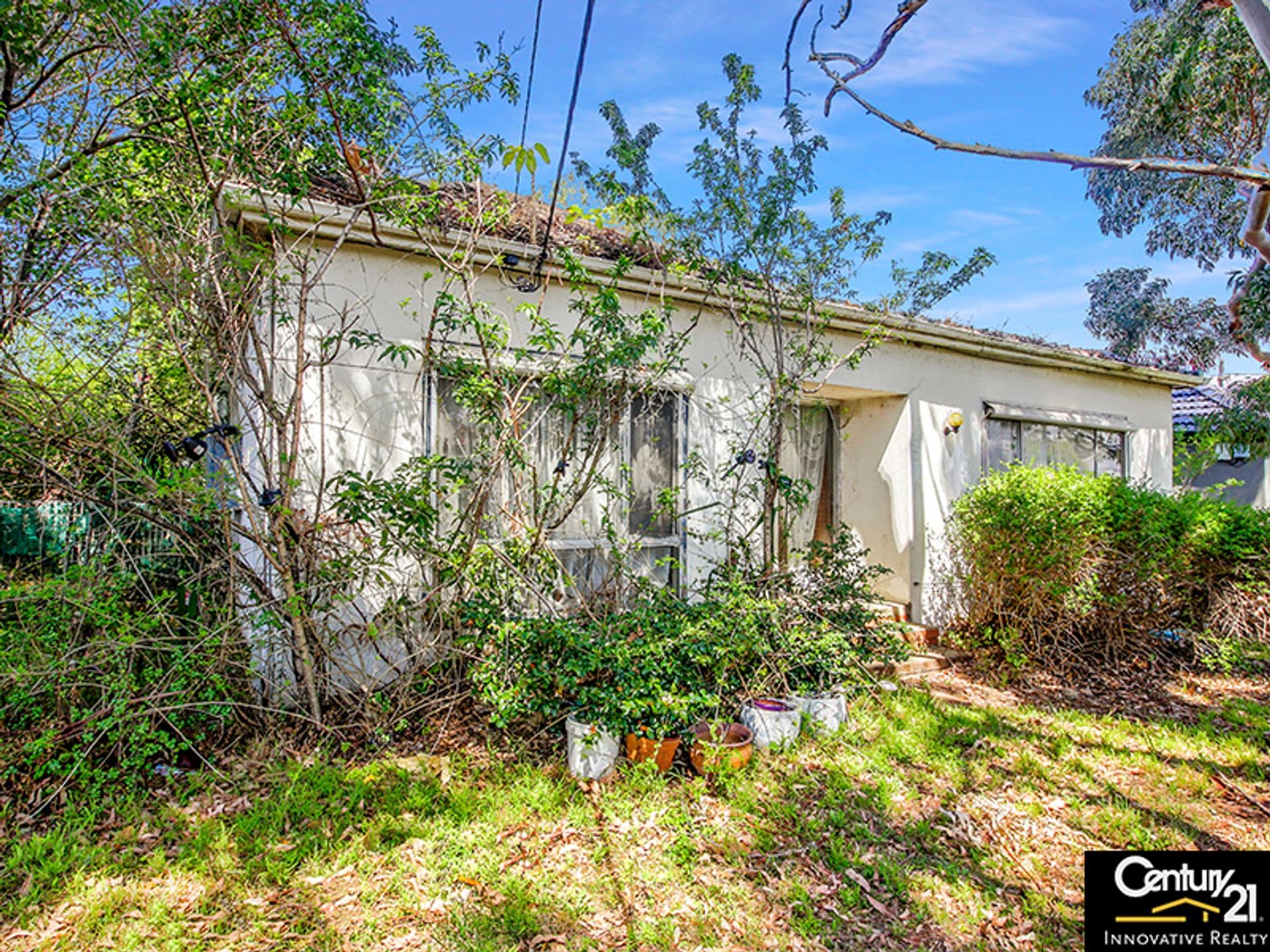 56 Mackenzie Street, Revesby, NSW, 2212, Padstow - Thumbnail 5