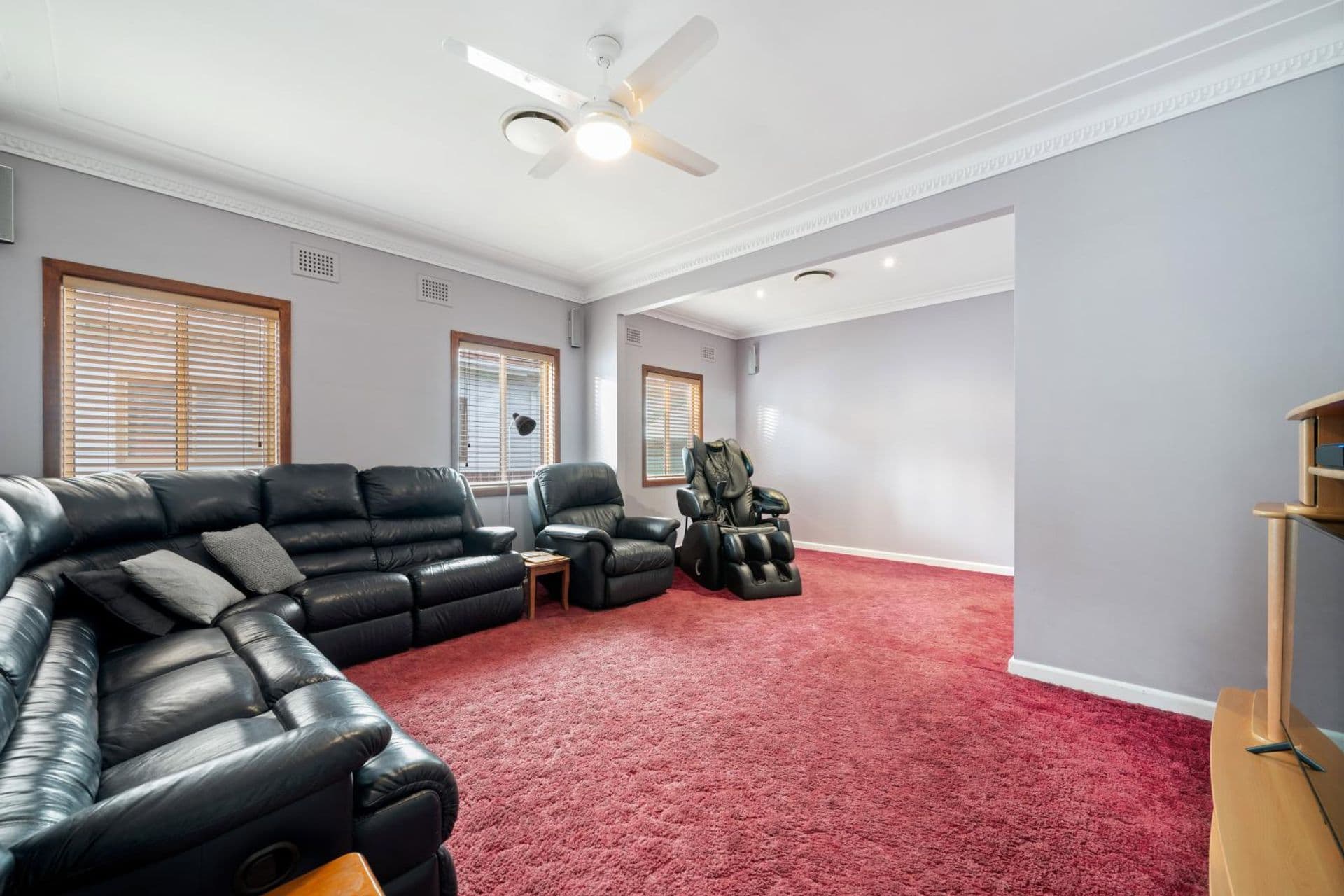 217 The River Road, Revesby, NSW, 2212, Revesby - Thumbnail 2