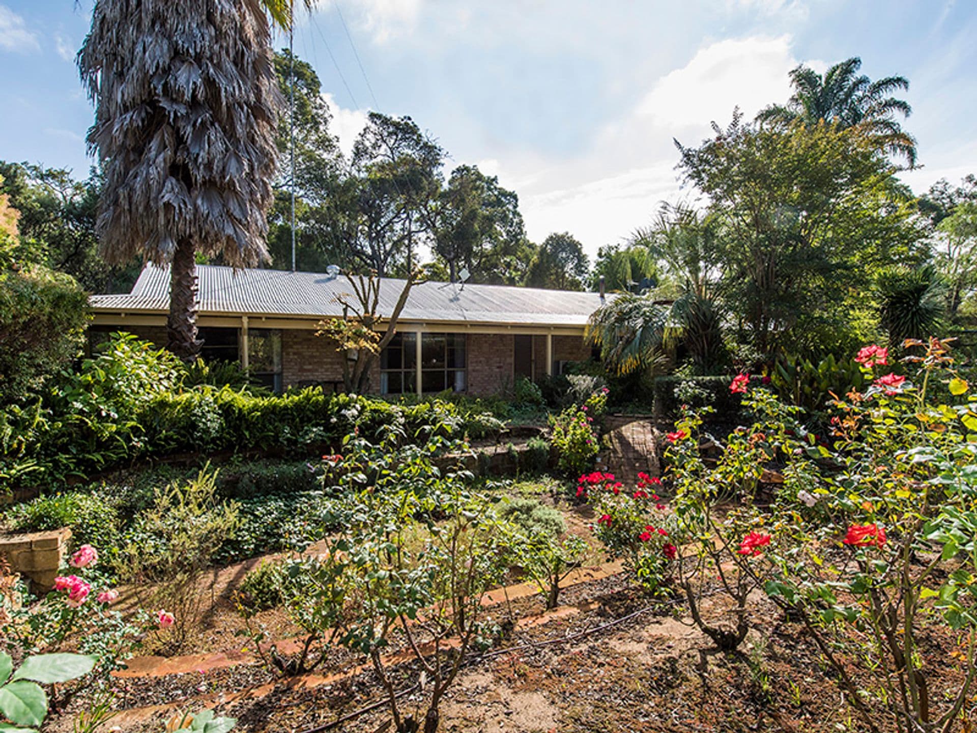 37/23 Casuarina Drive, Bunbury, WA, 6230, Gelorup - Thumbnail 2